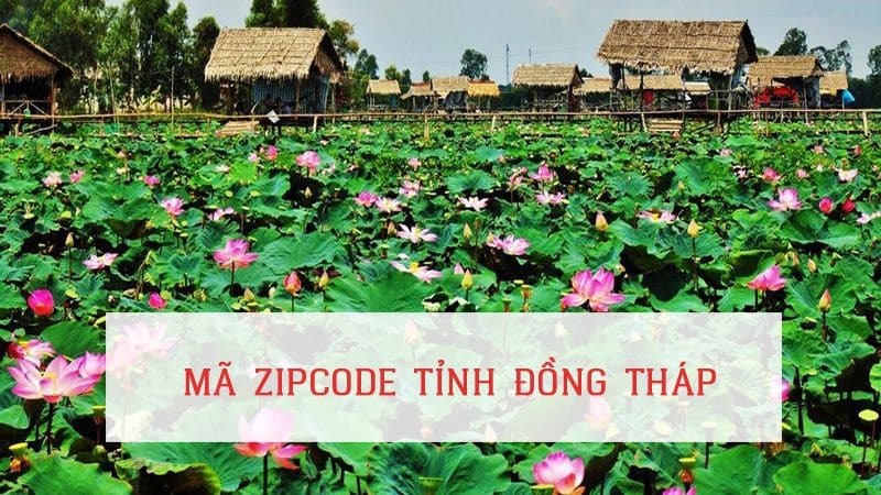 Mã ZIP Đồng Tháp